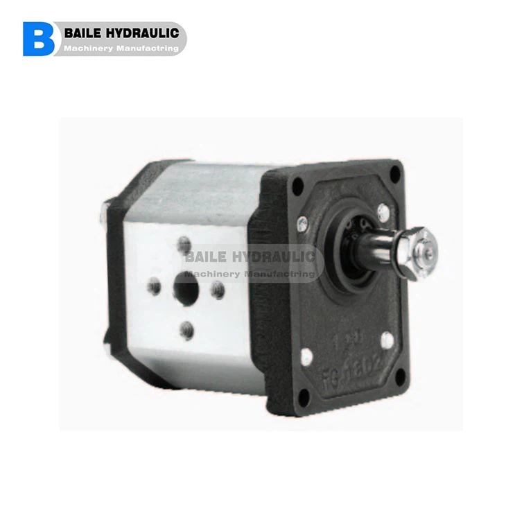 MARZOCCHI Gear Pumps GHP1 Series GHP1AO-D-2 GHP1AQ-D-3 GHP1AO-D-4 GHP1AQ-D-5 GHP1AO-D-6 GHP1AQ-D-7 GHP1AO-D-9 GHP1AO-D-11 GHP1AO-D-13 GHP1AQ-D-16 GHP1A0-D-20 GHP1-0-2 GHP1-D-3 GHP1-D-4 GHP1-D-5 GHP1-D-6 GHP1-D-7 GHP1-D-9 GHP1-0-11 GHP1-0-13 GHP1-0-16 GHP1-0-20 GHP1A-D-2 GHP1A-D-3