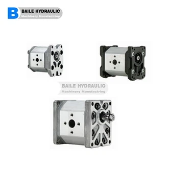 MARZOCCHI Zahnradpumpen ALP1-Serie ALP1A-D-2 ALP1A-D-3 ALP1A-D-4 ALP1A-D-5 ALP1A-D-6 ALP1A-D{{ 18}} ALP1A-D-9