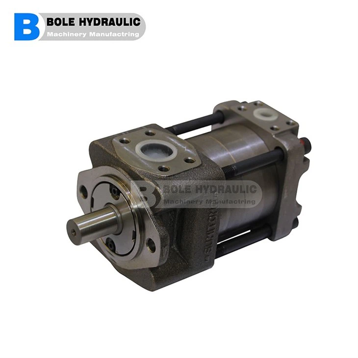 Gear Pump 052L-BI-3H