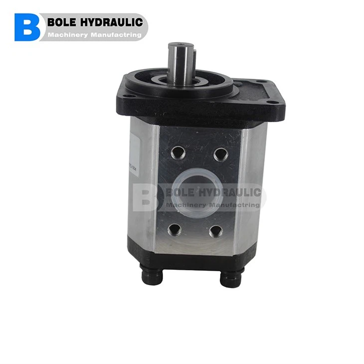 Ronzio Gear Pump Group 1